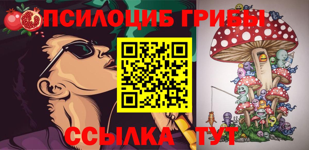 Галлюциногенные грибы мухоморы  Псилоцибиновые грибы прущие грибы  Вход с VPN  Заводоуковск 