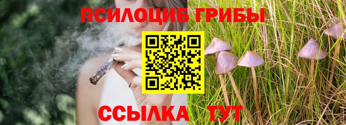 Псилоцибиновые грибы мухоморы Заводоуковск